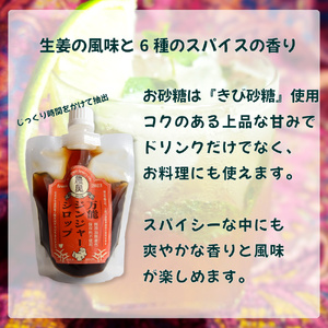 【ふるさと納税】＜佃煮1袋・シロップ2個＞農家の嫁の生姜佃煮1袋70g ジンジャーシロップ200ml クラフトジンジャー 希釈 ごはんのお供（B） ginger 農奥 高知 詰め合わせ【常温】らんまん