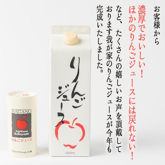 りんごジュース 1000ml × 12本 無添加 酸化防止剤不使用 果汁100% 紙パック アグリファーム小林 信州の環境にやさしい農産物認証 飲料 果汁飲料 りんご リンゴ 林檎 ジュース 信州 農
