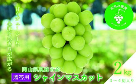 岡山 花笑み農園『シャインマスカット』贈答用 約2kg(3房から4房) S-2上【hana16-1】