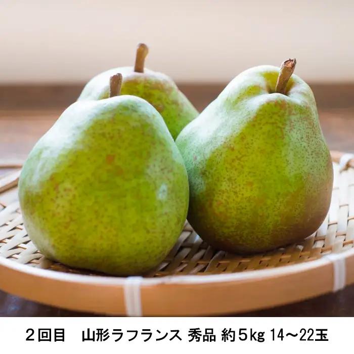 【定期便2回】ふるさとからの贈り物 りんごとラフランス便【令和8年産先行予約】FS23-657