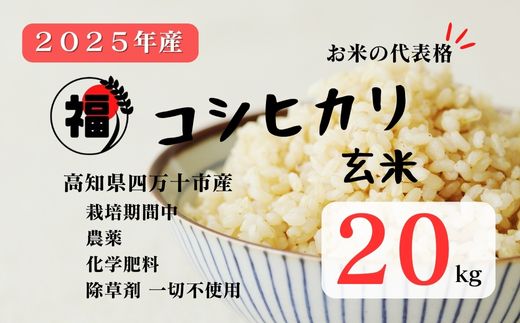 【令和7年産】四万十市産 コシヒカリ 玄米 20kg 栽培期間中農薬・ 化学肥料・除草剤不使用 国産 こしひかり 2025年産 米 おこめ こめ コメ ご飯 高知 四万十 しまんと 農家直送 蕨岡の百姓 福留壯 オーガニック