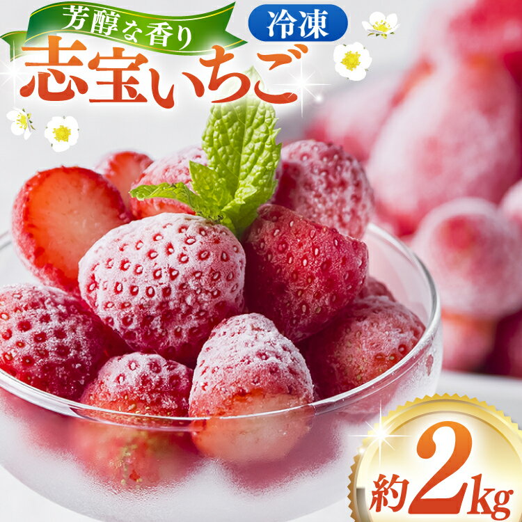 【ふるさと納税】 いちご 冷凍志宝いちご 約 2kg [モアショップヤマモト 石川県 宝達志水町 38601348] イチゴ 苺 フルーツ 果物 果実 甘い あまい 冷凍いちご 冷凍苺 冷凍イチゴ 冷凍フルーツ