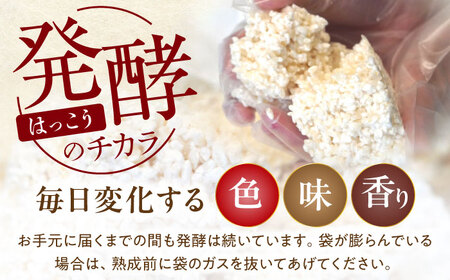 育てる味噌 10kg [VAV020] みそ 米味噌 キット