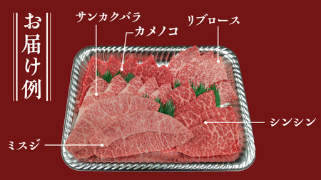 【常陸牛】焼肉セット 800g (400g×2パック） (茨城県共通返礼品)