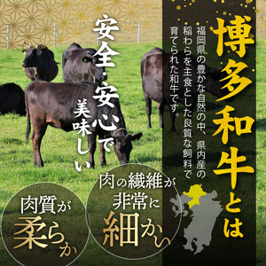 博多和牛 ミスジステーキ 10枚（100g×10枚） _KY4806
