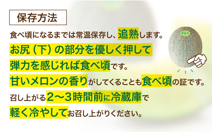 【先行予約】【6月中旬から順次発送】 タカミ メロン S〜Mサイズ 3〜4玉入り（1.5kg〜2.2kg/玉） 愛媛県大洲市/にのみや農園 めろん 貴味 果物 フルーツ くだもの 青肉 高級　 [AG