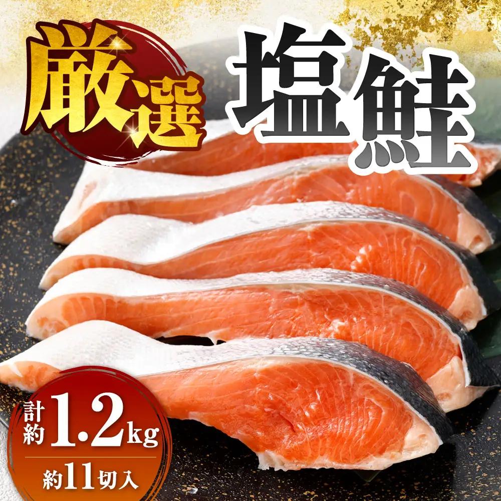 厳選 塩鮭 （ 約1.2kg （ 約11切入 ） ） 鮭 サケ さけ シャケ 魚 魚類 魚料理 切り身 焼き魚 塩焼き 塩 焼き 冷凍