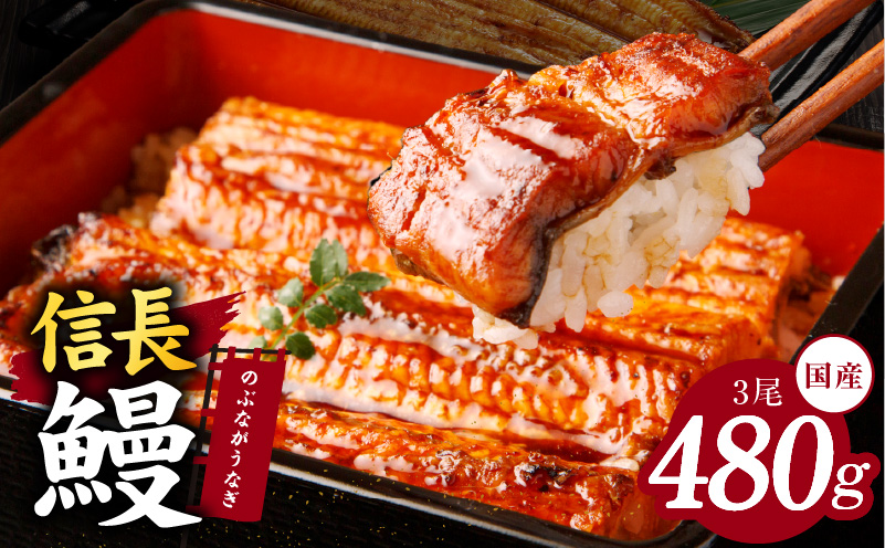【数量限定】国産 信長鰻 160g×3尾【大サイズ 合計480g 蒲焼き 無頭 うなぎ 鰻 ウナギ ひつまぶし タレ 冷凍】