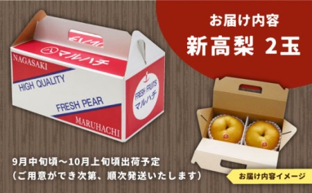 【2025年9月〜発送】【シャリッと食感がたまらない！】新高梨 2玉 / 梨 なし 南島原市 / ふるさと企画 [SBA007]