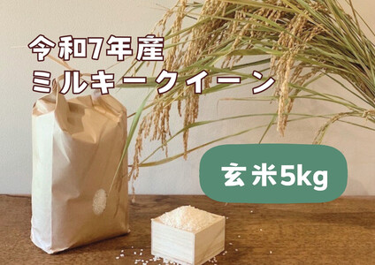 【令和7年産】栃木市岩舟町産ミルキークイーン5kg【玄米】米　新米　玄米　ミルキー　農家直送　産地直送