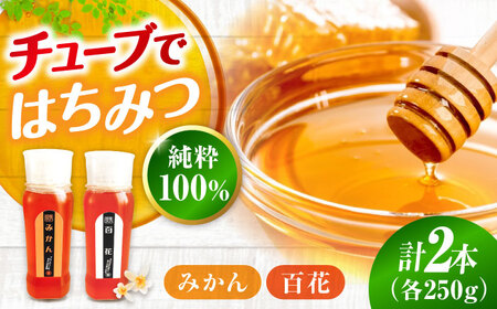 手軽に簡単チューブはちみつ各250g 計2本セット はちみつ はちみつ[APBO009] はちみつ はちみつ はちみつ はちみつ はちみつ