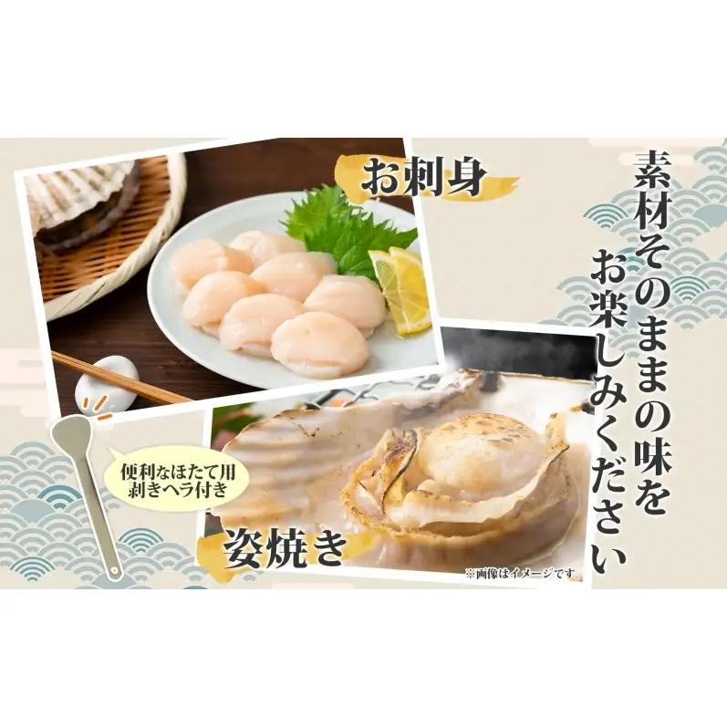 北海道産 活ほたて 2年貝 約4kg 30枚～45枚 2027年1月中旬以降水揚げ次第出荷 ほたて 帆立 ホタテ 生 貝 魚貝 魚介 海産 海鮮 貝柱 噴火湾 刺身 送料無料 北海道 洞爺湖町