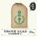 【ふるさと納税】 新米 米 玄米 30kg はえぬき 令和6年産 2024年産 尾花沢市産 生産者応援！ 送料無料※着日指定配送不可※沖縄・離島への配送不可 kb-hagxb30