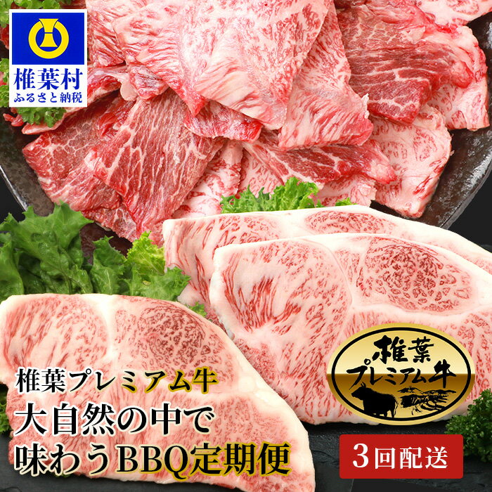 【ふるさと納税】【定期便3回】総重量1.8kg！椎葉プレミアム牛 大自然の中で味わうBBQ定期便≪焼き肉・ステーキ≫ 【TK-60】｜送料無料 牛 肉 人気 黒毛和牛 和牛 国産牛 国産 ブランド牛 A5等級 焼き肉セット ロース サーロイン 定期便 定期 ご褒美 牛 焼き肉 すき焼き｜