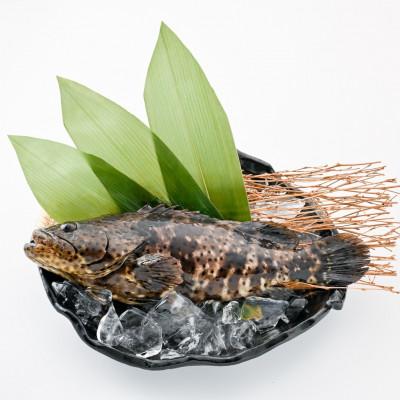 ふるさと納税 中城村 陸上養殖 琉球ミーバイのバター焼き煮 1匹 |  | 03