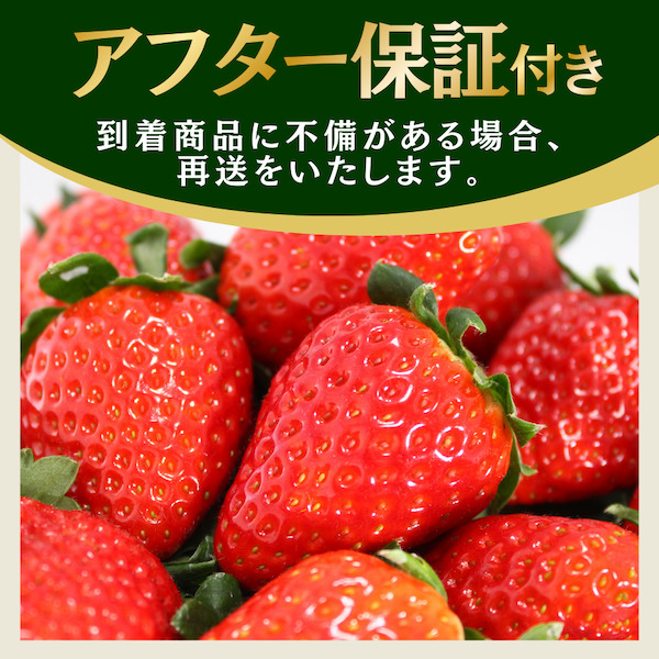 【先行予約＿2027年出荷分】厳選 満タンいちご4パック　【 苺 いちご イチゴ かおり野 恋みのり 産地直送 旬 果物 フルーツ くだもの 静岡県 伊豆 南伊豆町 期間限定 】　<AA-9>