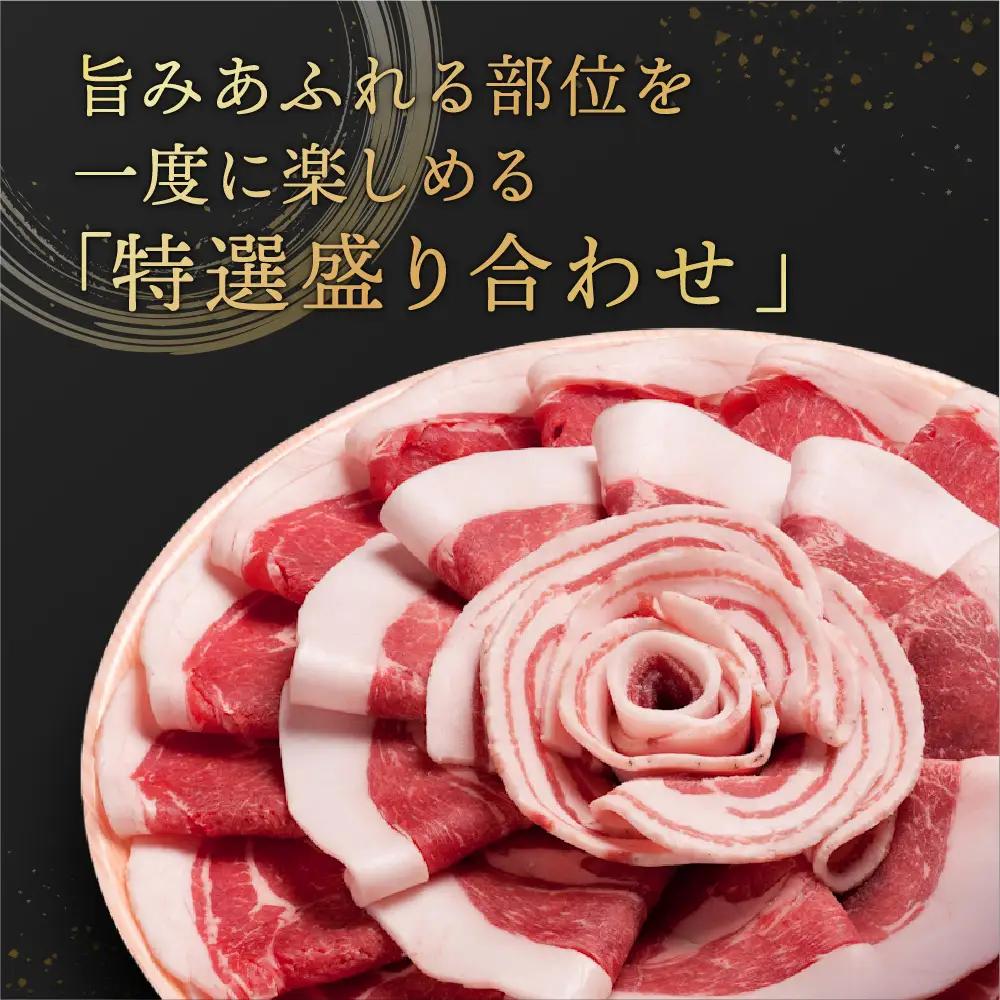 〈スピード出荷〉ぼたん鍋 猪肉 食べ比べ (特選 800g 4~5人前）猪肉
