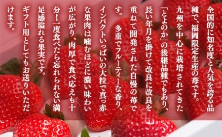 いちご あまおう 12～15粒 いちご
