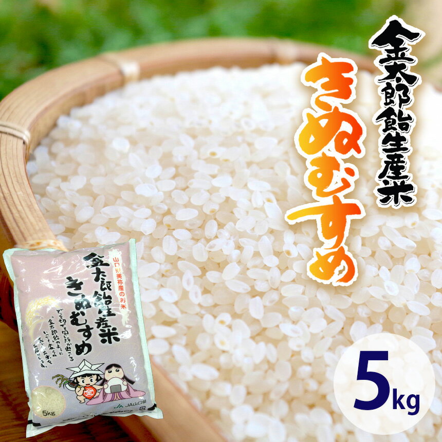【ふるさと納税】 令和7年産 米 金太郎飴 生産米 きぬむすめ 5kg 山口美祢産 ｜ 令和7年産 米 白米 粘り きぬむすめ キヌヒカリ 山口 美祢市 美祢 特産品 5kg