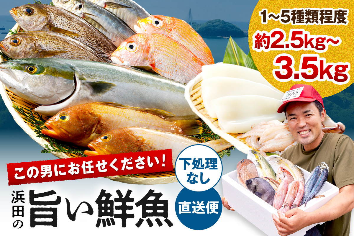 
            この男に任せてみませんか～浜田の旨い鮮魚直送便（下処理なし）～ 海鮮 鮮魚 詰め合わせ セット おまかせ 旬 直送便 人気 お取り寄せ 【006_2048】
          