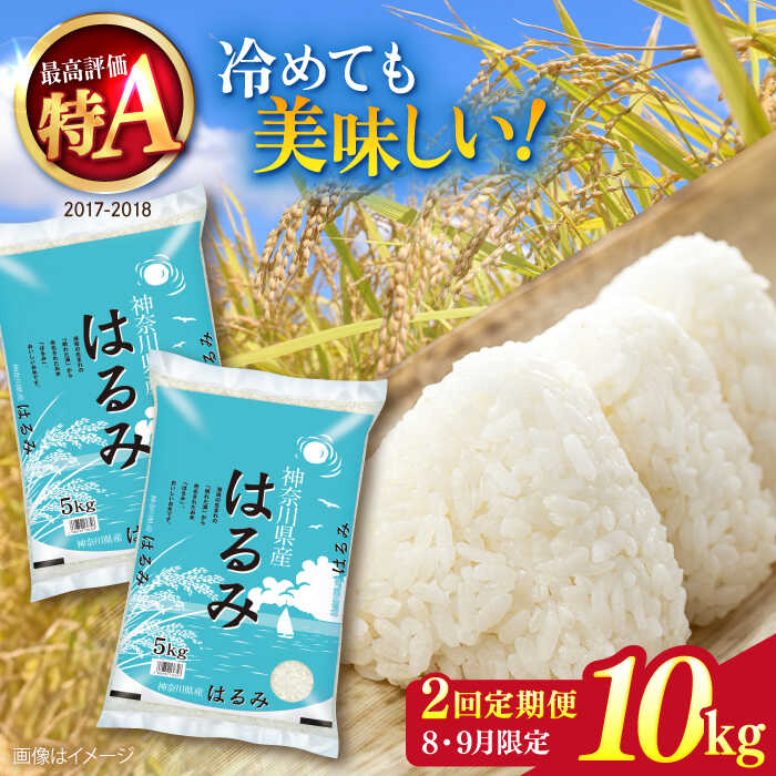 【ふるさと納税】【2025年8月・9月発送】【2回定期便】令和6年産 お米 はるみ 10kg 米 おこめ ごはん 特A 神奈川県 横須賀 精米 白米 コメ こめ 10キロ 希少 定期 定期便【株式会社ヨコショク】[AKGC004]