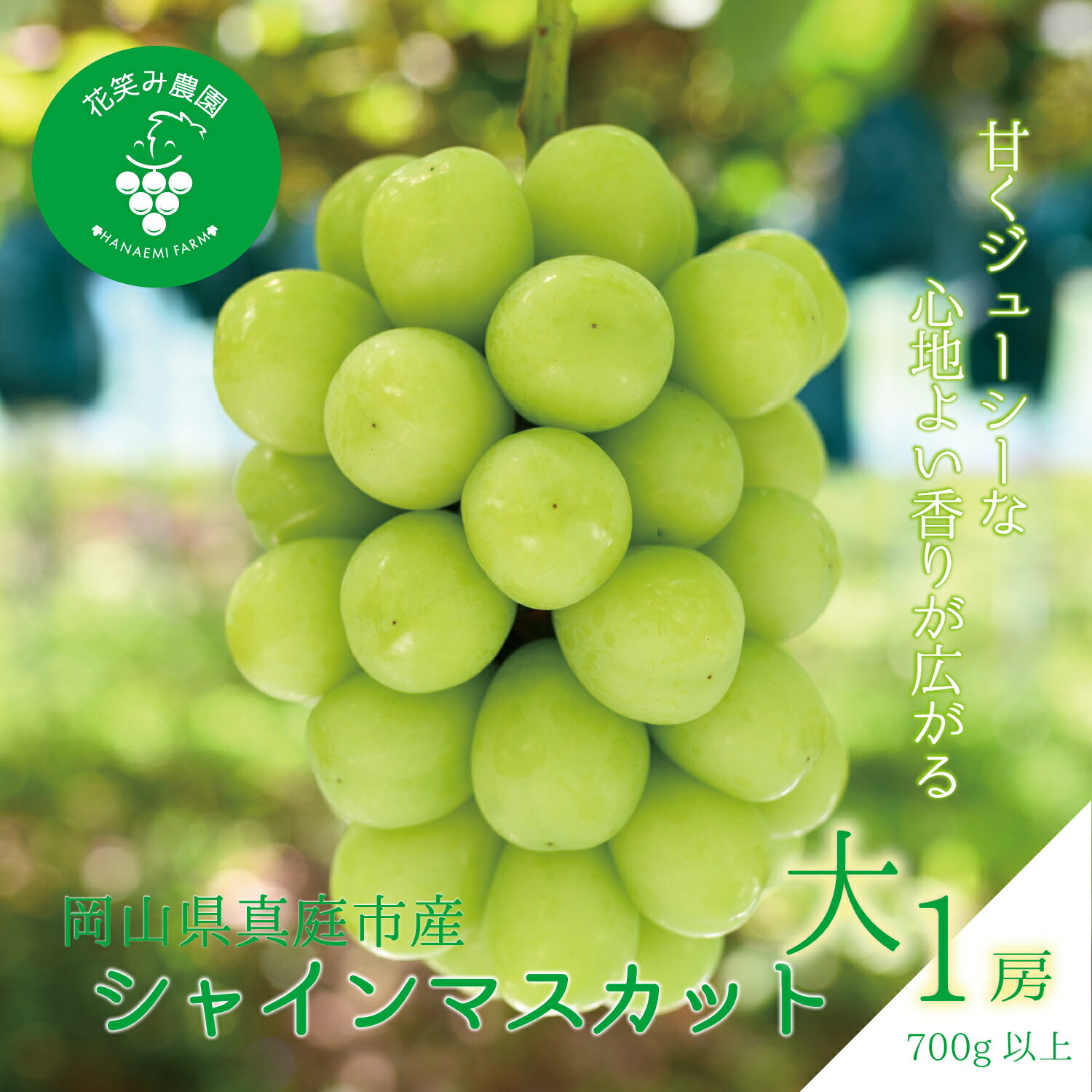 【ふるさと納税】 【2026年先行予約】岡山 花笑み農園の『シャインマスカット』700g以上（大1房）S-大1 / ぶどう 葡萄 岡山 シャイン シャインマスカット フルーツ 果物 真庭市