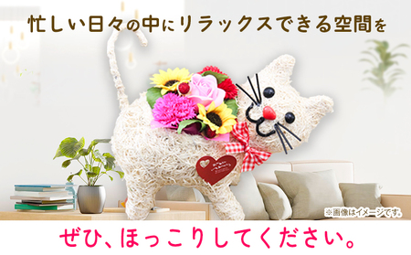 猫の散歩 光触媒エコフラワー×フレグランスフラワー 花