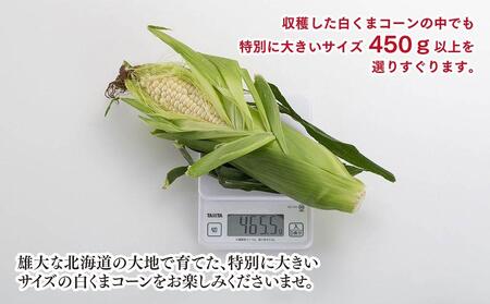 【先行予約】象もろこし（白くまコーン） 大きいサイズのトウモロコシ　450ｇ以上8本入り (2024年8月下旬～発送開始予定)