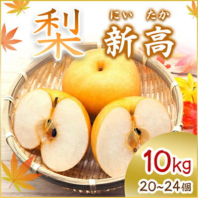 【ふるさと納税】【2025年10月より順次発送予定】新高　10kg　20〜24個(県内共通返礼品:石岡市産)【配送不可地域：離島・沖縄県】 (BR013)