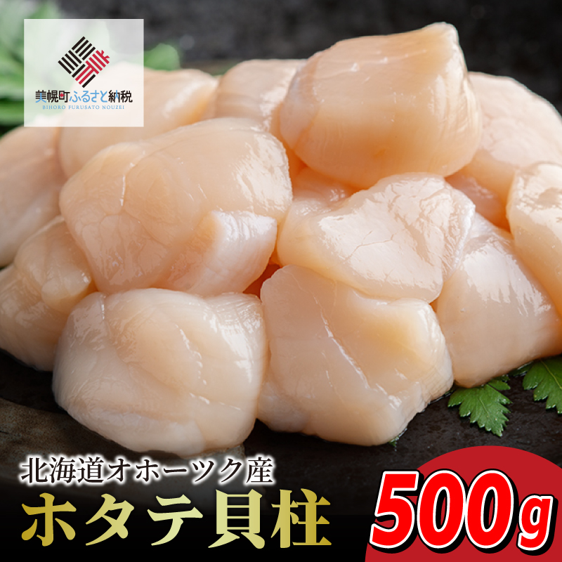北海道オホーツク産 ホタテ貝柱 500g×1パック【配送不可地域：離島】 BHRI016