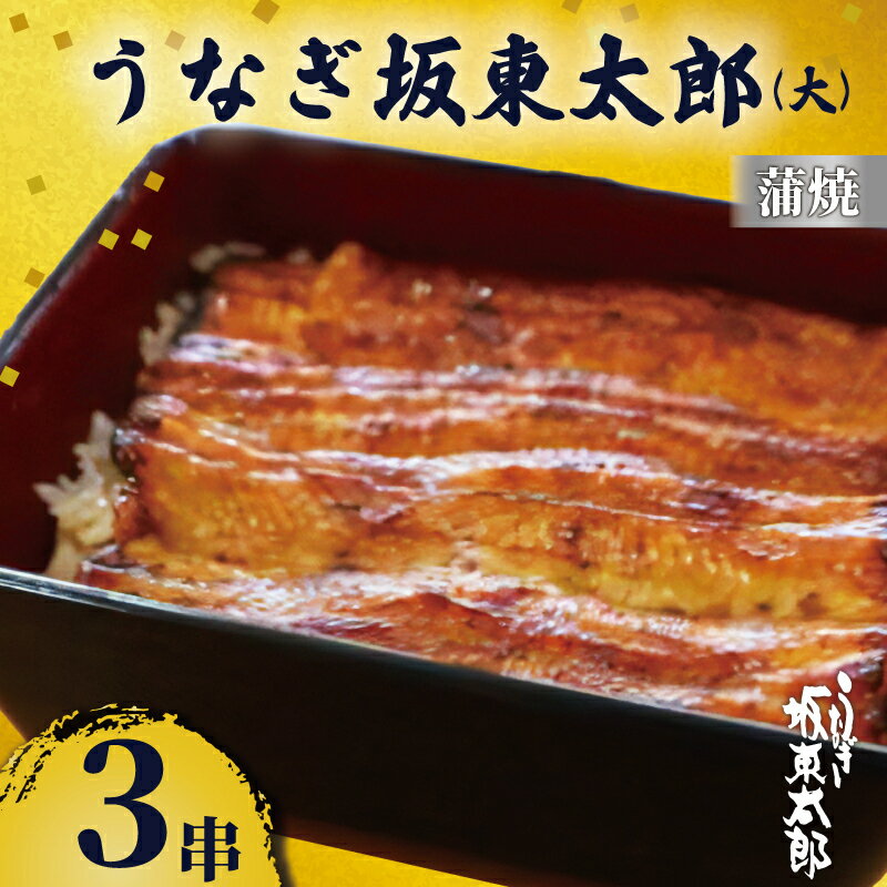 【ふるさと納税】 うなぎ坂東太郎 蒲焼 大3串 うなぎ 坂東太郎 蒲焼 グルメ 鰻 加工品 レトルト 惣菜 人気 おすすめ 簡単調理 真空パック お取り寄せ グルメ ギフト お土産 土用の丑の日 お中元 贈答 プレゼント 贈り物 食品 うな重 魚貝 冷凍 送料無料 千葉県 銚子市 忠平