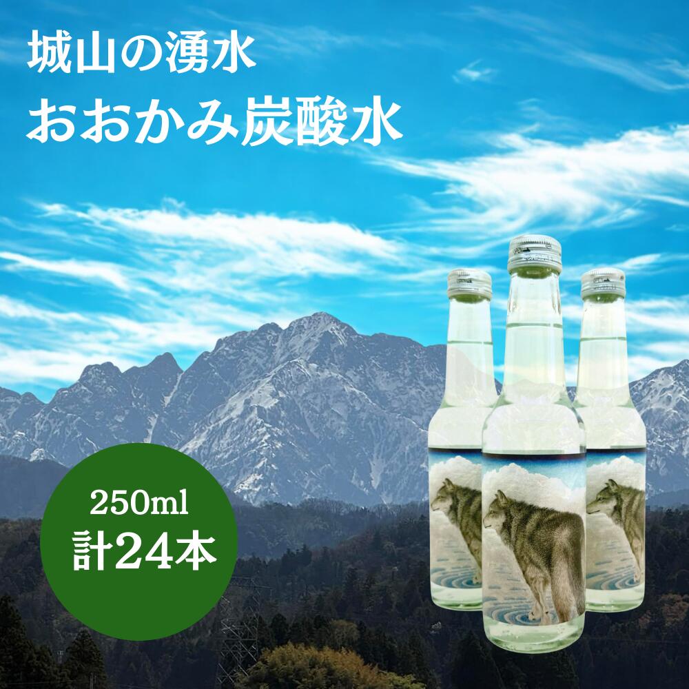 【ふるさと納税】ドリンク おおかみ炭酸水 250ml×24本 [城山の湧水 富山県 上市町 32280275-r6] 炭酸水 炭酸 城山の湧水 湧水 湧き水 スパークリングウォーター 軟水 長期保存