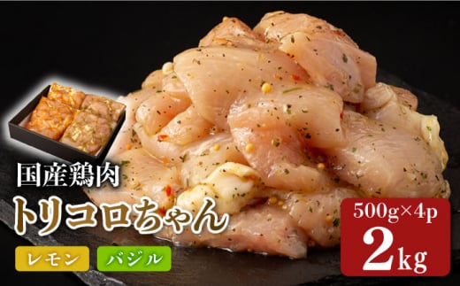 国産鶏肉 トリコロちゃん 2kg（500g×4パック） 長崎県/合同会社肉のマルシン [42AAAO012] お弁当に 国産 国産鶏肉 国産とり肉