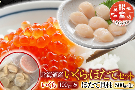 いくら醤油漬け100g×2P、ほたて貝柱500g×1P C-30041