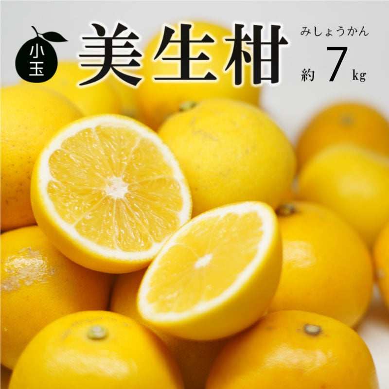 
            先行予約 訳あり 小玉 美生柑 約7kg 小粒  河内晩柑 ばんかん 柑橘 フルーツ 果物 くだもの 果実 夏文旦 晩生柑 みかん 蜜柑 mikan わけあり 傷 規格外 愛南 ご当地 ブランド 国産 産地 直送 ゼリー マーマレード デザート フルーツアイランド マルエム直販 愛媛県 愛南町 発送期間: 2025年3月1日～6月10日(なくなり次第終了)　
          
