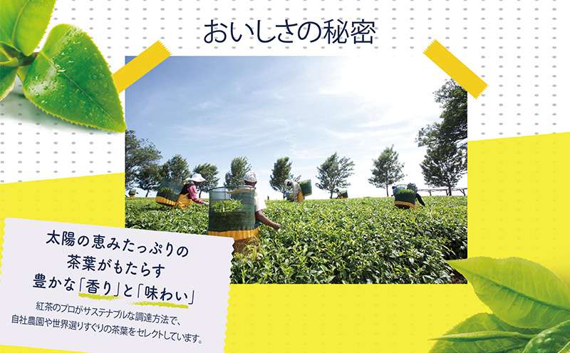 リプトン イエローラベルティーバッグ 20袋(10袋×2箱) 飲料 紅茶 ティー ティーバッグ リラックス リフレッシュ