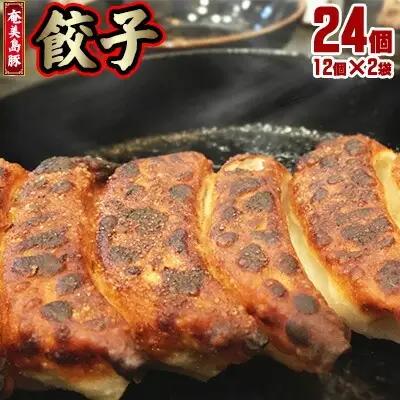 【奄美島豚】餃子 24個（12個×2袋・約680g） 豚肉 島豚