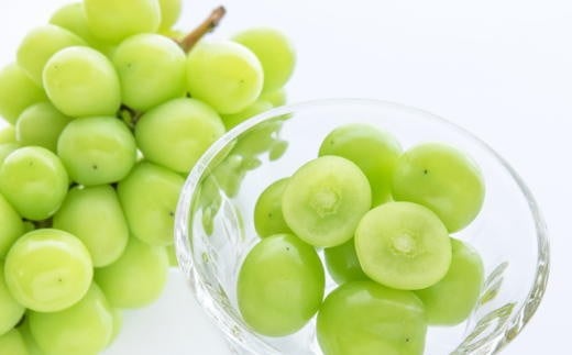 【先行予約】和歌山県産完熟シャインマスカット約1kg【2026年度発送分】 ※2026年9月上旬～2026年9下旬頃に順次発送 /  果物 くだもの フルーツ 葡萄 ぶどう ブドウ 和歌山【tecj1