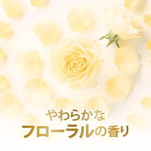 ダヴ ボディウォッシュ プレミアム モイスチャーケア つめかえ用 640g×9 ◇ 石鹸・ボディーソープ せっけん