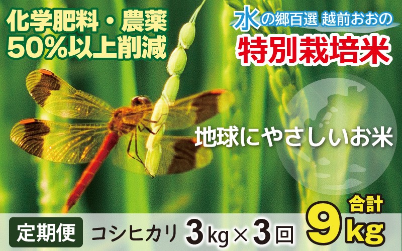 
                  【令和7年産】【3ヶ月定期便】こしひかり 3kg × 3回 計 9kg【白米】減農薬・減化学肥料「特別栽培米」
                