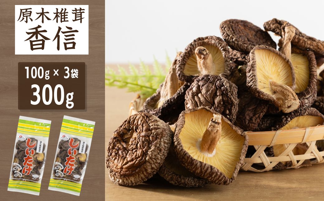 津久見産原木しいたけ香信 100g×3袋 | しいたけ シイタケ きのこ キノコ 健康 ビタミン 食物繊維 国産 九州 大分県 津久見市