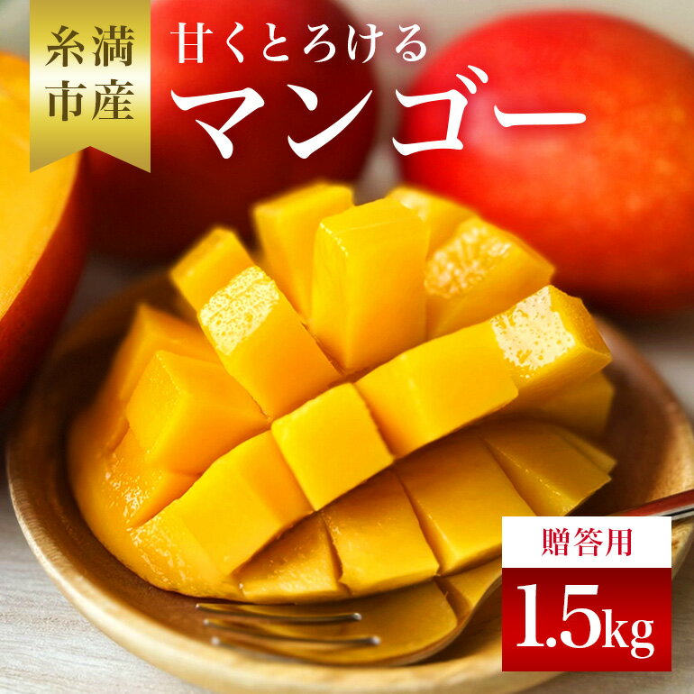 【ふるさと納税】【 先行予約 2026年 発送 】 かねよしマンゴーの甘くとろける マンゴー 1.5kg ( 贈答用 ) 沖縄県産 アップルマンゴー アーウィンマンゴー 国産 果物 くだもの フルーツ 完熟 沖縄 お取り寄せ ギフト 贈答品 贈り物 産地直送 農家直送 糸満市 送料無料