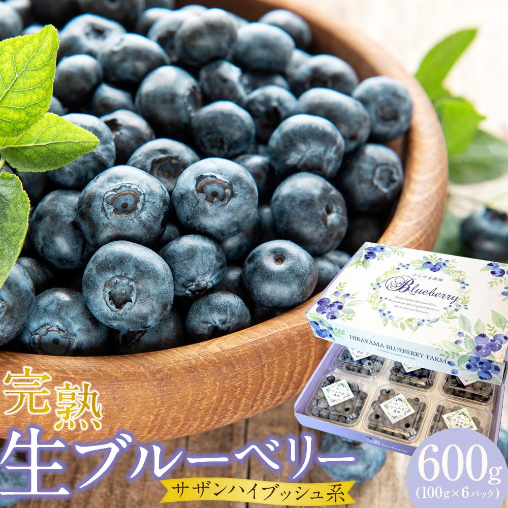 【ふるさと納税】【農家直送】完熟生ブルーベリー（サザンハイブッシュ系）600g（100g×6パック）2025年発送 土佐ひらやま農園 | ブルーベリー フルーツ 果物 くだもの 食品 人気 おすすめ 送料無料