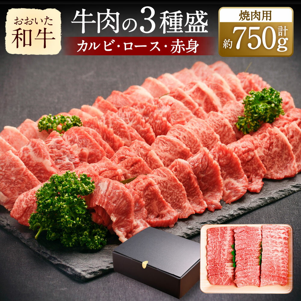 【ふるさと納税】おおいた和牛 焼肉にピッタリ！牛肉の3種盛 カルビ ロース 赤身 各250g×3種 計約750g 牛肉 和牛 国産 肉 焼肉用 BBQ 詰め合わせ 盛り合わせ 焼肉セット セット 九州 冷凍 大分 大分県産 竹田市 送料無料