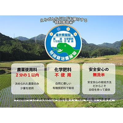 ふるさと納税 勝山市 先行予約【令和8年産】 特別栽培米 コシヒカリ 5kg×2 (無洗米) |  | 01