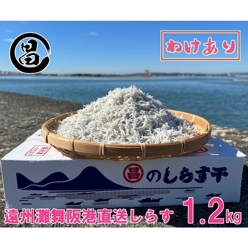 【ふるさと納税】パスタ わけあり 冷凍 しらす干し 1.2kg 大容量 小分け 遠州灘舞阪港直送 シラス 訳アリ シェア 出汁茶漬け ピザ 卵焼き 浜松市 静岡県
