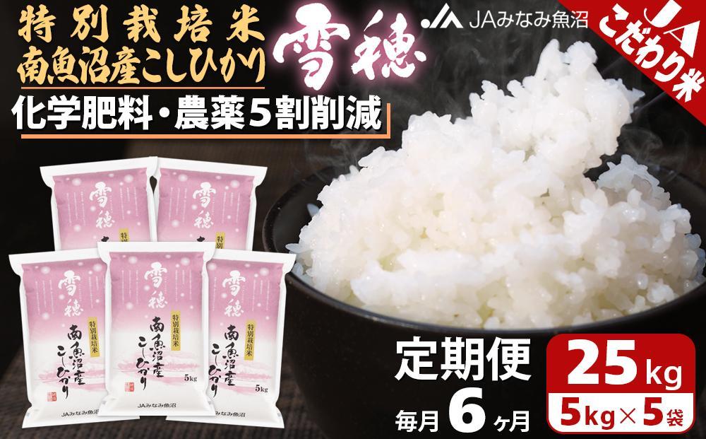 【JAみなみ魚沼定期便】特別栽培米南魚沼産こしひかり「雪穂」（25kg×全6回） ≪精米 農薬5割削減 精米HACCP認定工場 特A獲得日本一産地 高品質精米 もっちり甘い 南魚沼産コシヒカリ 定期便 コシヒカリ こしひかり 精米 銘柄米≫