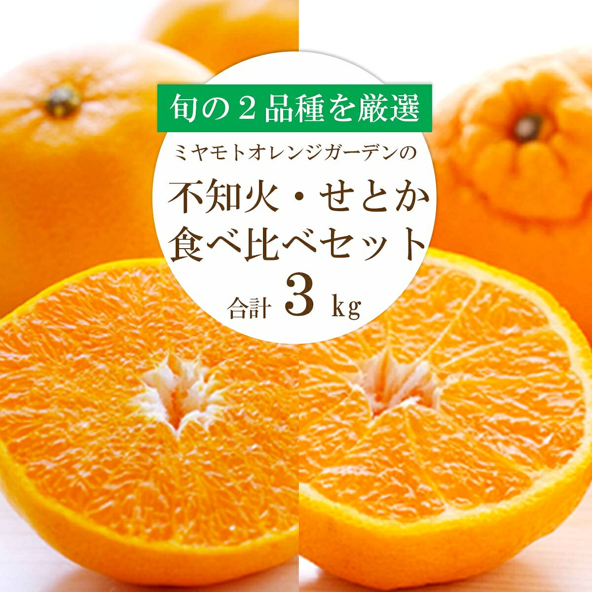 【ふるさと納税】【先行受付】 愛媛の人気2品種をセットに!せとか・不知火 食べ比べ 合計3kg【訳あり】【G25-141】_ 訳あり わけあり みかん ミカン せとか 不知火 食べ比べ セット 柑橘 フルーツ ふるーつ 果物 くだもの 果実 【配送不可地域：離島】【1283421】YWTAP084