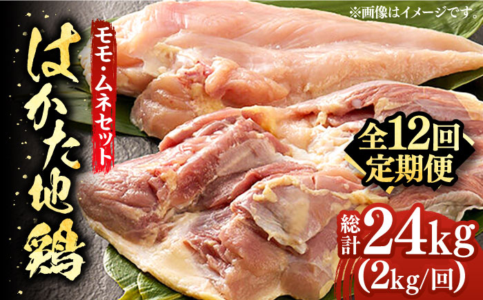 
【全12回定期便】はかた地鶏モモムネセット 2kg（1kg×2p）《築上町》【MEAT PLUS】鶏 鶏肉 もも 胸 [ABBP135] 160000円 16万円
