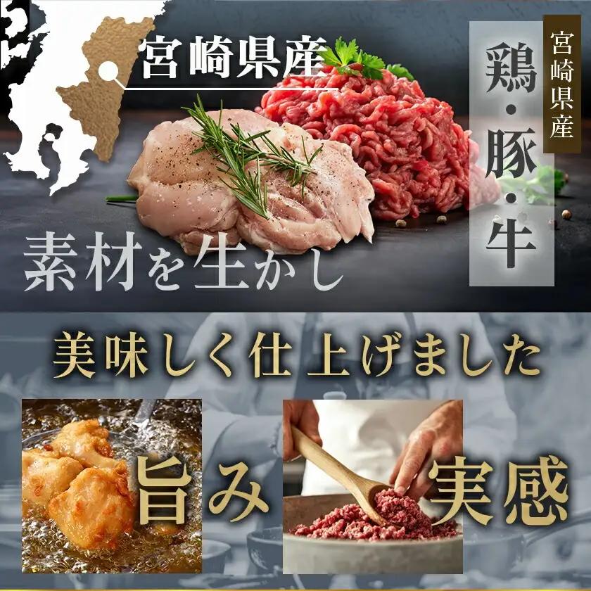 一口チキン南蛮&和牛入り合挽ハンバーグセット〔AA-9236〕